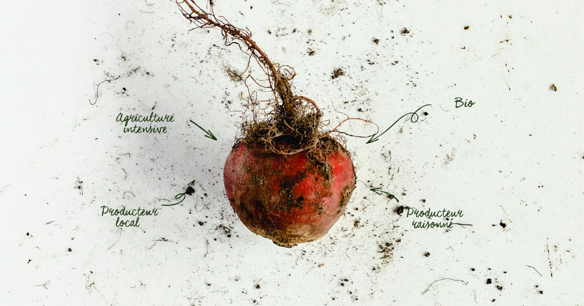 Agriculture intensive, Bio, local ou producteur raisonné : que faut-il vraiment privilégier ?